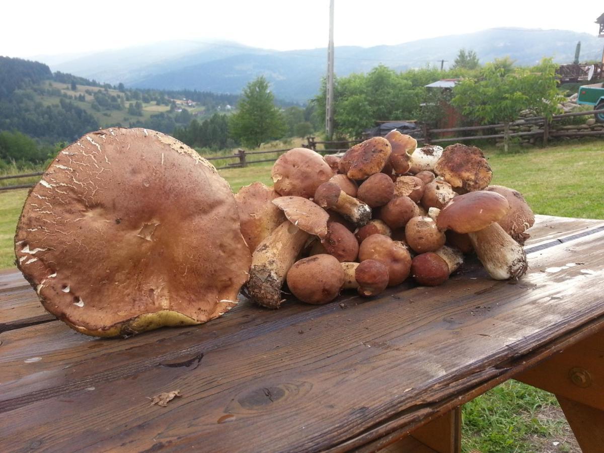 Babia Chata Zawoja Exteriör bild